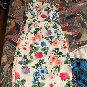 Size 8 floral print Calvin Klein dress